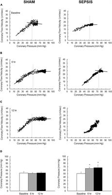 Early Hyperdynamic Sepsis Alters Coronary Blood Flow Regulation in Porcine Fecal Peritonitis